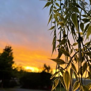 Meet your Posher, Heena dutt